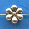 Pewter_Flora.jpg