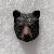 PCBbkbearf_small.jpg