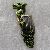 PCBdragon_small.jpg