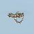 apmy_small.jpg
