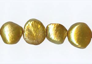 p362_large.jpg