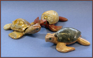 sacturtlelsea.jpg