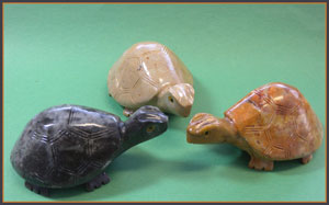 sacturtlernd.jpg