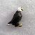 PCBstandeagle_small.jpg