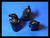 bonyxeagle_small