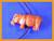 pcbhippobr_small