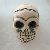 pcbskull_small.jpg
