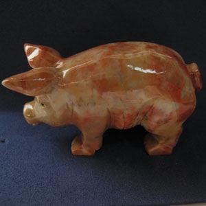 sacpigl_large.jpg