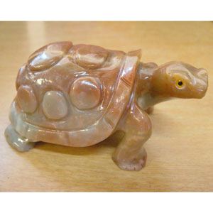 sacturtlel_large.jpg