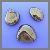 sphem_small