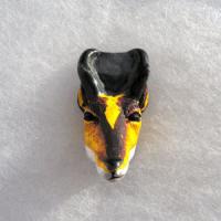 PCBantelope_large.jpg