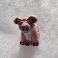 PCBpkpig_large.jpg