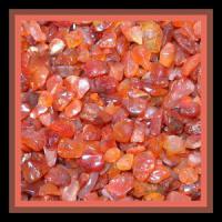carnelianchippy_large