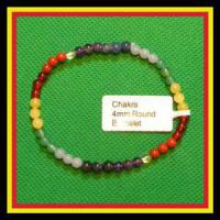 chakrabr4_large