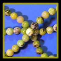 chchrys8_large