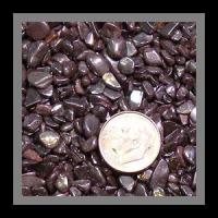 hemchipsm_large