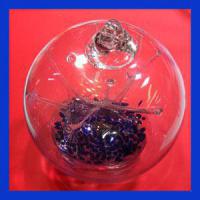 hgb166A_large