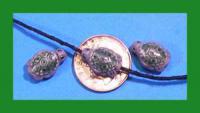 pcbseaturtlesm_large