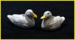 pcbwhduck_large