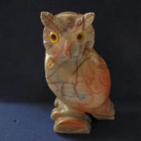 sacowll_large.jpg