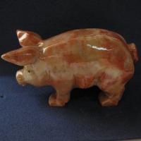 sacpigl_large.jpg