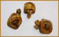 turtlepj_large