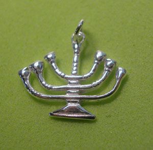 sschmenorah_large.jpg